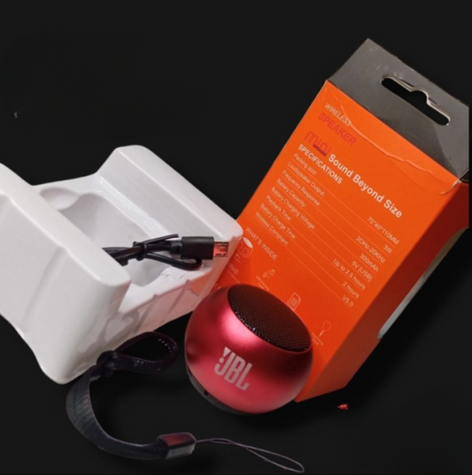 JBL Mini Speaker